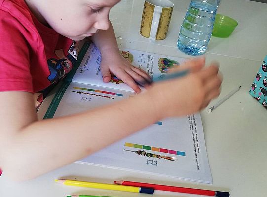 GR IV Fotorelacja z pracy w domu z tygodnia 29.03-02.04