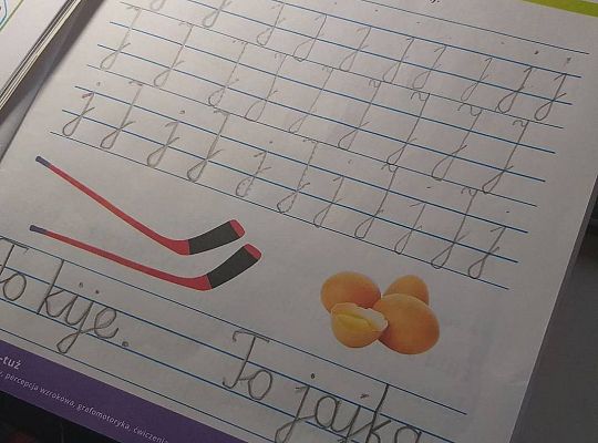 GR IV Fotorelacja z pracy w domu w tygodniu 05.04-09.04