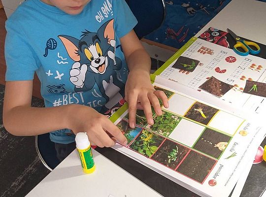 GR IV Fotorelacja z pracy w domu w tygodniu 05.04-09.04