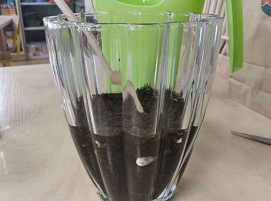 GR III "Dzień Ziemi" oraz PODZIĘKOWANIA