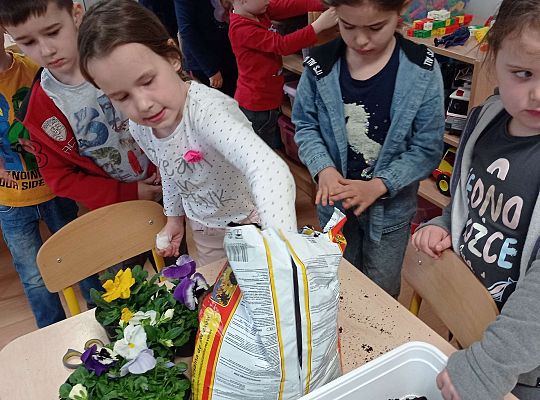 GR IV "Dzień Ziemi"