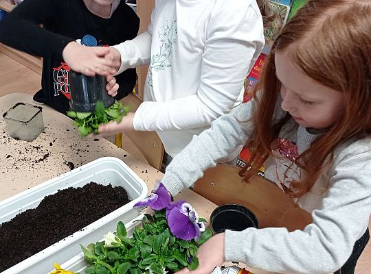 GR IV "Dzień Ziemi"