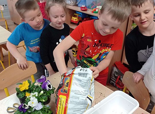 GR IV "Dzień Ziemi"