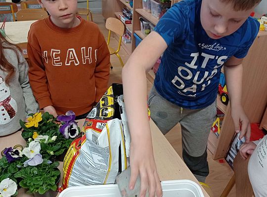 GR IV "Dzień Ziemi"