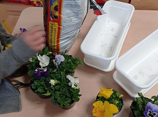 GR IV "Dzień Ziemi"