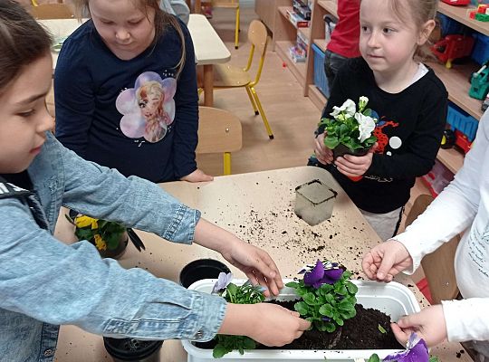 GR IV "Dzień Ziemi"