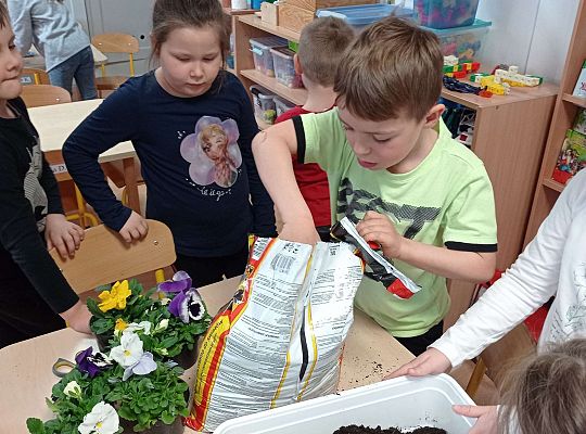 GR IV "Dzień Ziemi"