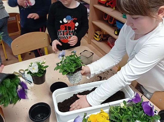 GR IV "Dzień Ziemi"