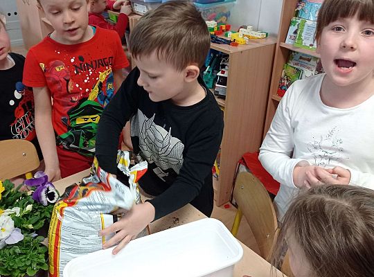 GR IV "Dzień Ziemi"