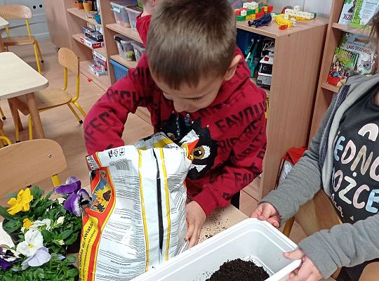 GR IV "Dzień Ziemi"