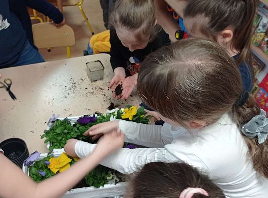 GR IV "Dzień Ziemi"