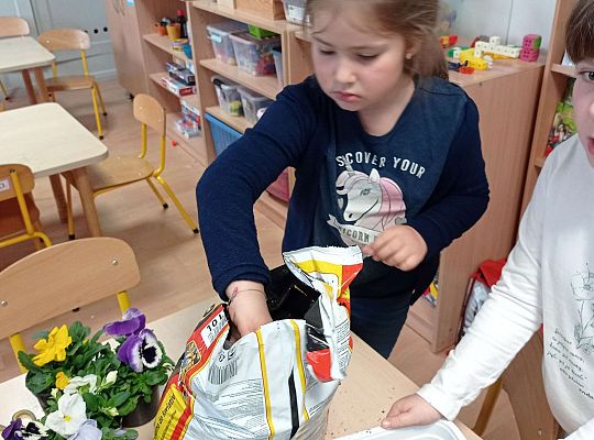 GR IV "Dzień Ziemi"