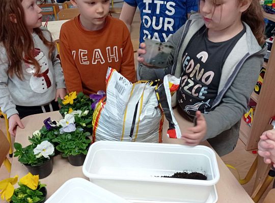 GR IV "Dzień Ziemi"