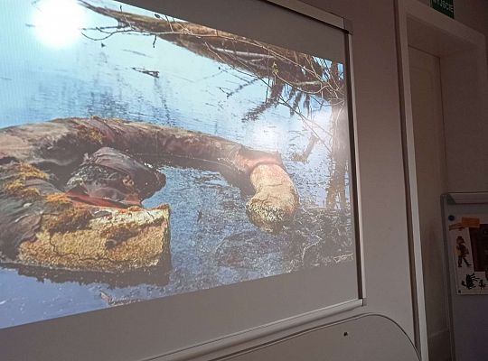 GR IV "Dzień Ziemi"