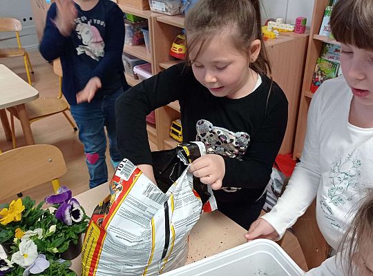 GR IV "Dzień Ziemi"