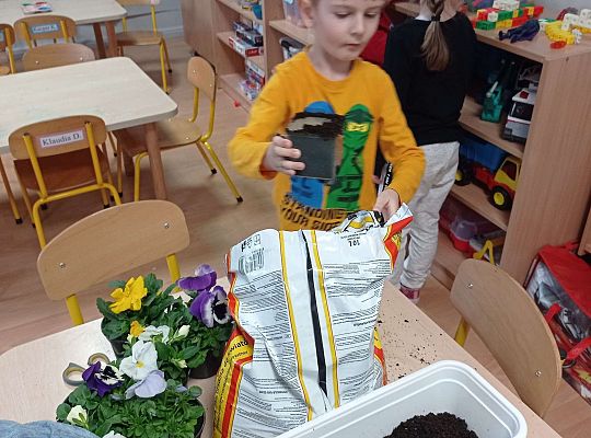 GR IV "Dzień Ziemi"