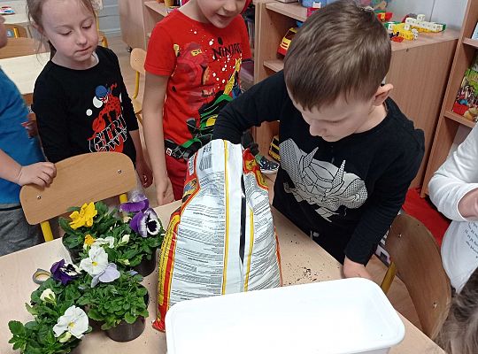 GR IV "Dzień Ziemi"