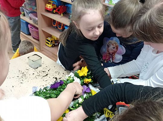 GR IV "Dzień Ziemi"