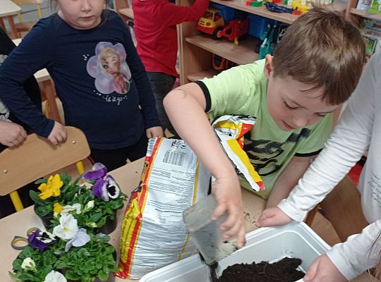 GR IV "Dzień Ziemi"