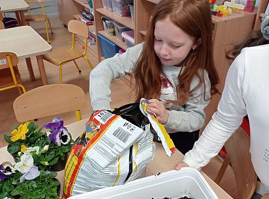 GR IV "Dzień Ziemi"