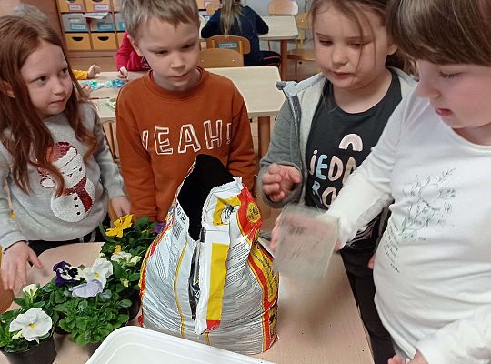 GR IV "Dzień Ziemi"