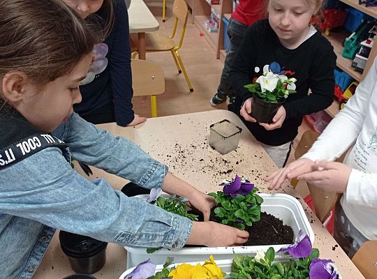 GR IV "Dzień Ziemi"