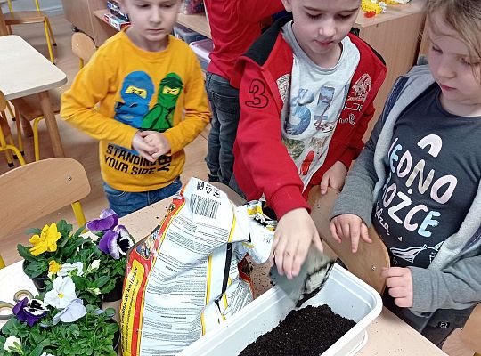 GR IV "Dzień Ziemi"