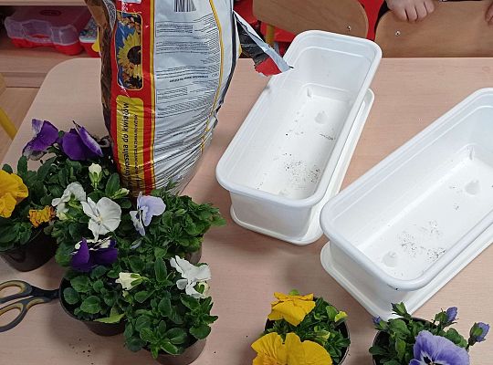 GR IV "Dzień Ziemi"