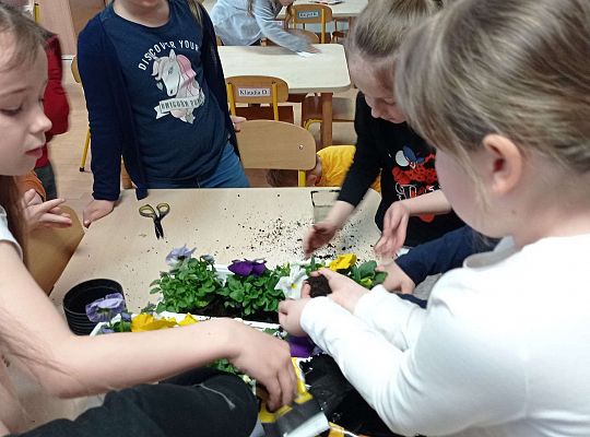 GR IV "Dzień Ziemi"