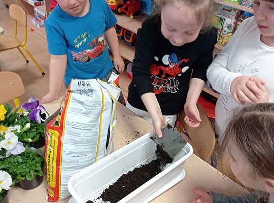 GR IV "Dzień Ziemi"