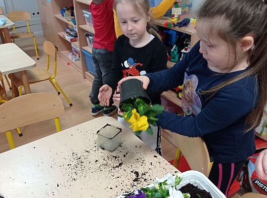 GR IV "Dzień Ziemi"