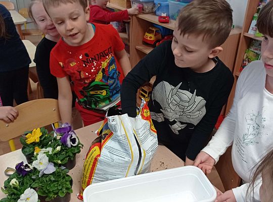 GR IV "Dzień Ziemi"