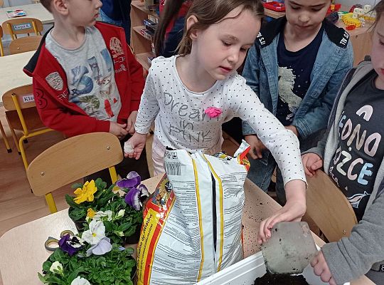 GR IV "Dzień Ziemi"