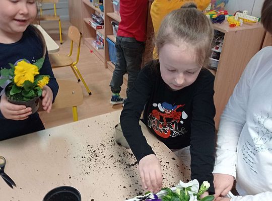 GR IV "Dzień Ziemi"