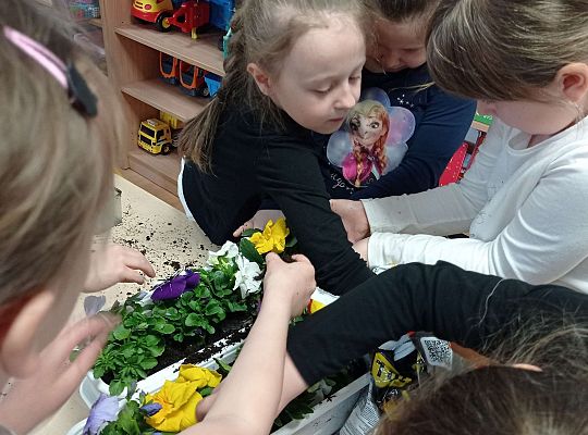 GR IV "Dzień Ziemi"