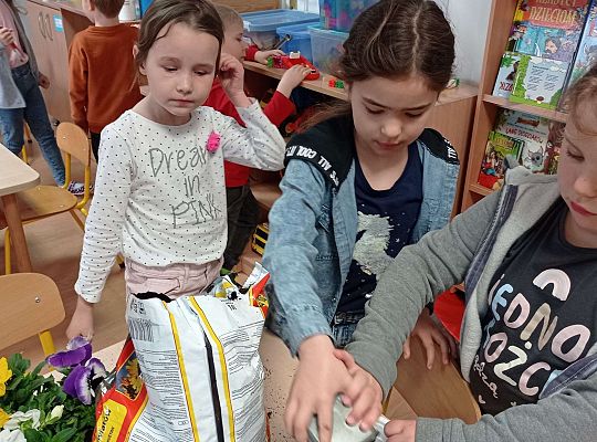 GR IV "Dzień Ziemi"