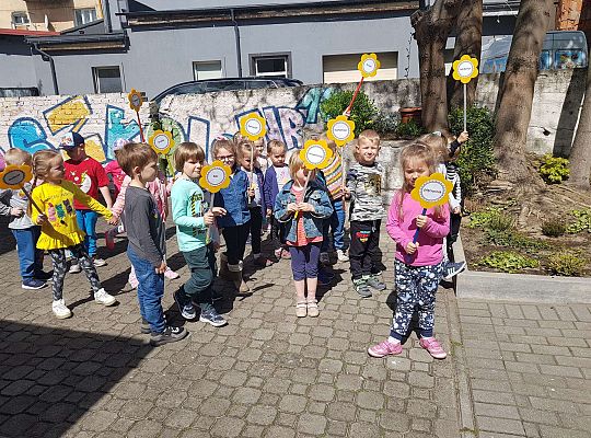 GR II Kwiaty w ogrodzie przedszkolnym