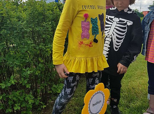 GR II Kwiaty w ogrodzie przedszkolnym