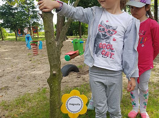 GR II Kwiaty w ogrodzie przedszkolnym