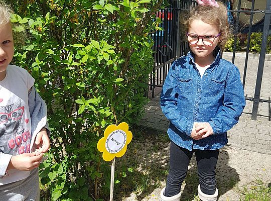 GR II Kwiaty w ogrodzie przedszkolnym