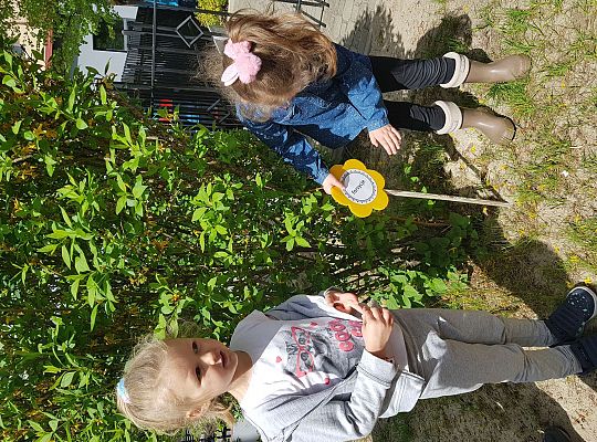 GR II Kwiaty w ogrodzie przedszkolnym