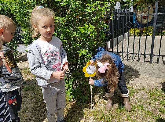 GR II Kwiaty w ogrodzie przedszkolnym