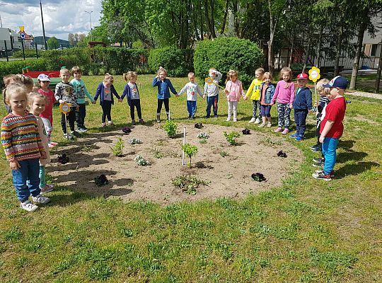 GR II Kwiaty w ogrodzie przedszkolnym