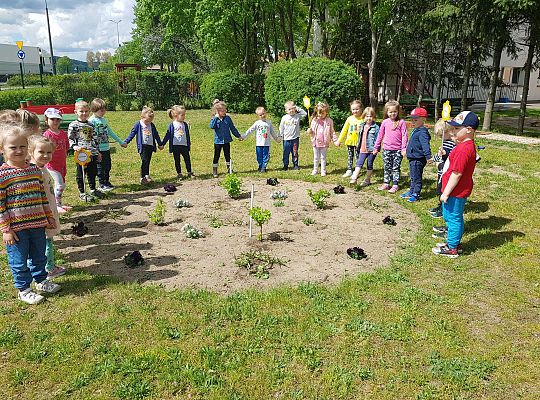 GR II Kwiaty w ogrodzie przedszkolnym