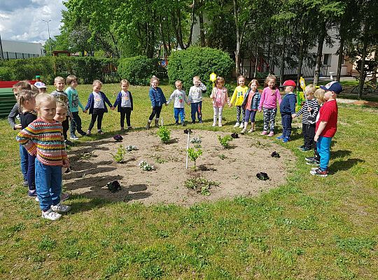GR II Kwiaty w ogrodzie przedszkolnym