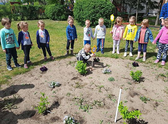 GR II Kwiaty w ogrodzie przedszkolnym