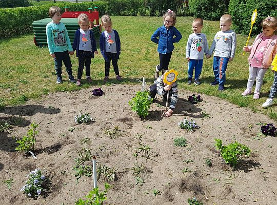 GR II Kwiaty w ogrodzie przedszkolnym