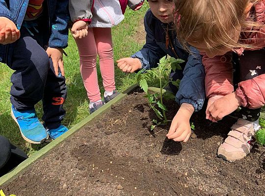 GR III Zakładamy ogródek warzywny