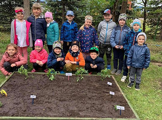 GR III Zakładamy ogródek warzywny