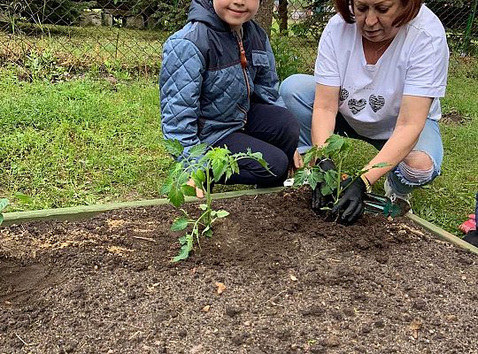 GR III Zakładamy ogródek warzywny